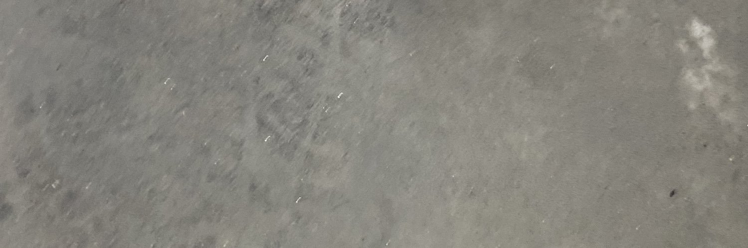 Baby's banner