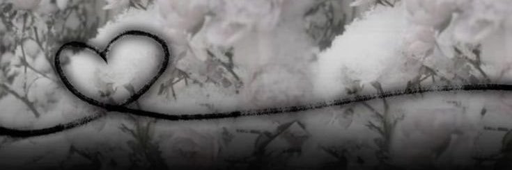 ʚїɞ's banner