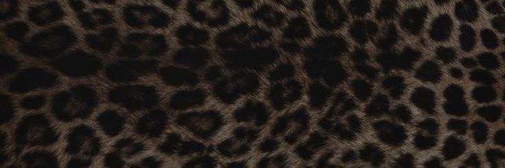 ؘ's banner