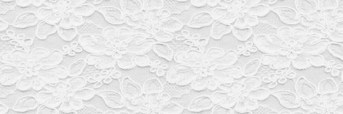 dolli ᕱ⑅ᕱ's banner