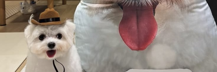 lee's banner