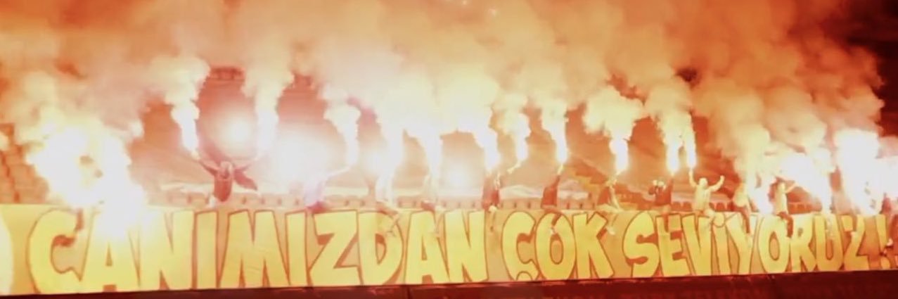 Leo's banner