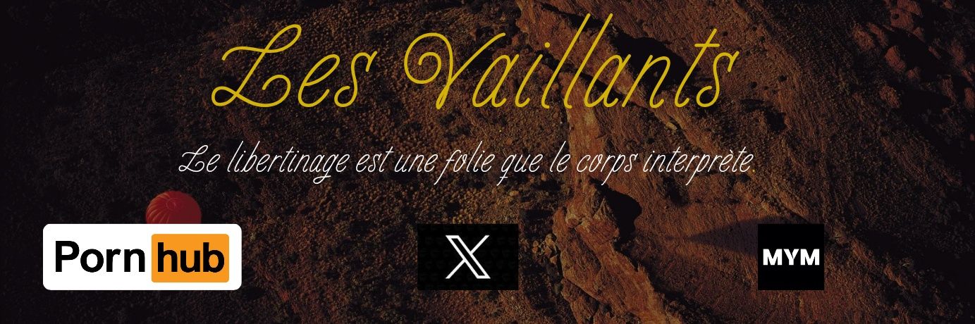 LesVaillants's banner