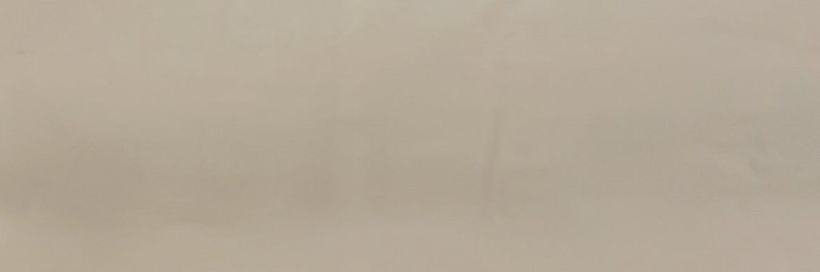 あひるちゃん's banner