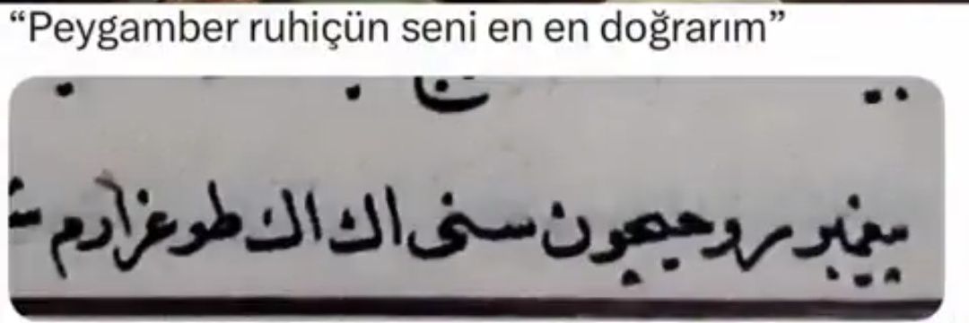 SÜNNİ's banner