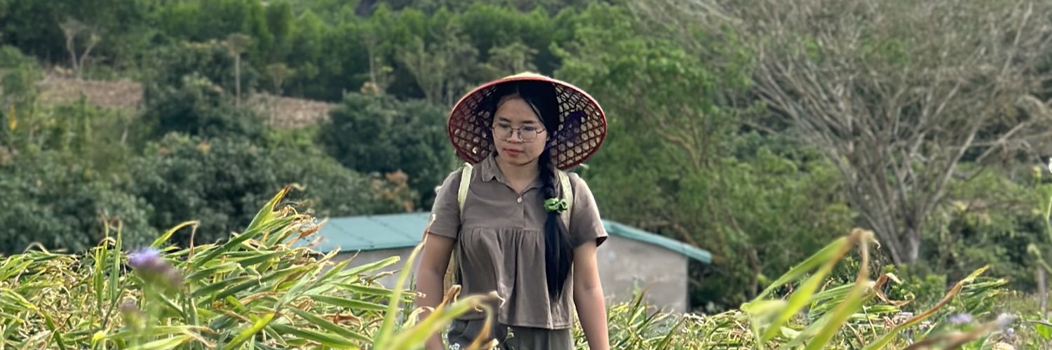Thư Thư | Kim's banner