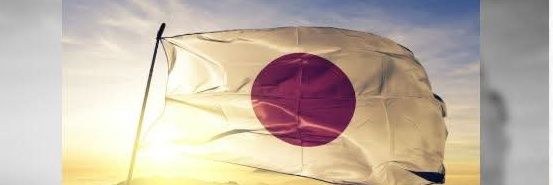 埼玉13区ゆうこく連合's banner