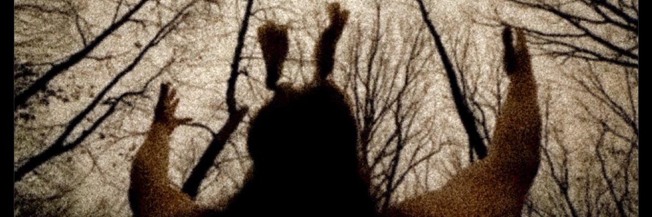 ‘The Willowbrook Tapes’'s banner