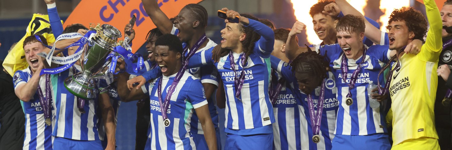 Brighton & Hove Albion Academy's banner