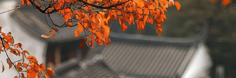 一帧人间's banner