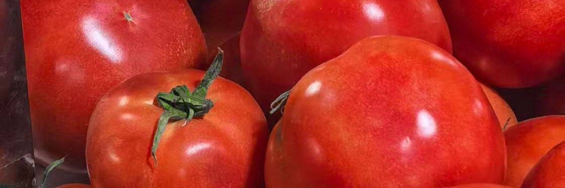 柿红西🍅's banner
