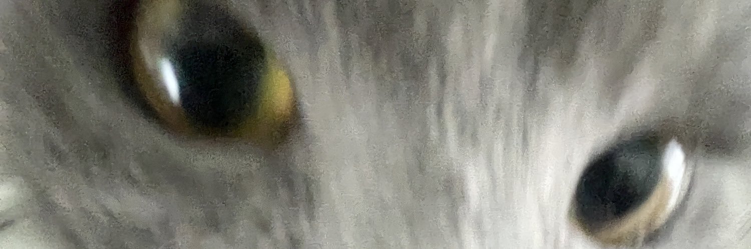 怎样的墓地才配得上我这一路的颠沛流离's banner