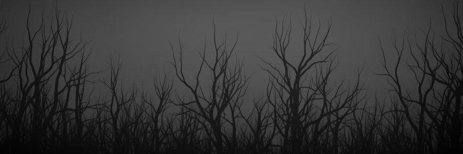 Beto's banner
