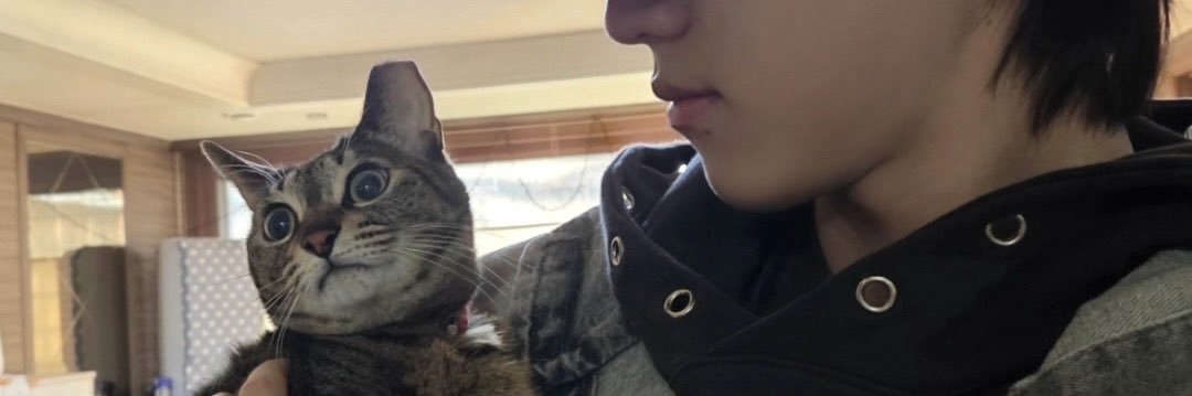 ᵘᵃ's banner