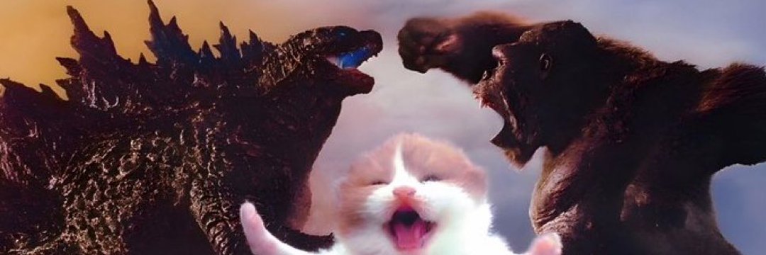 Daily Cat Posting's banner