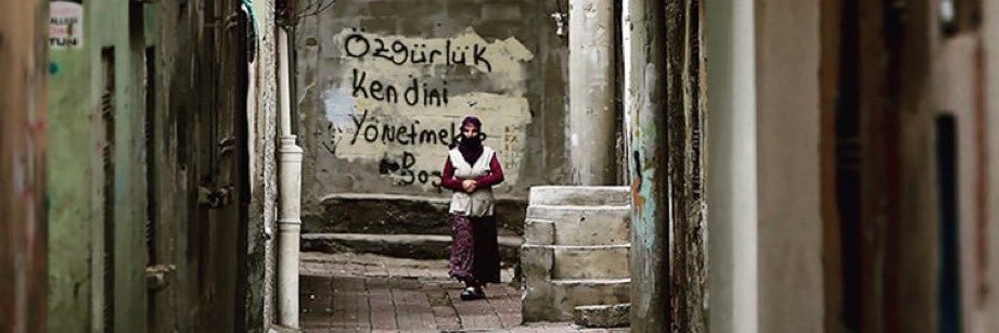 A Y Ş E G Ü L's banner