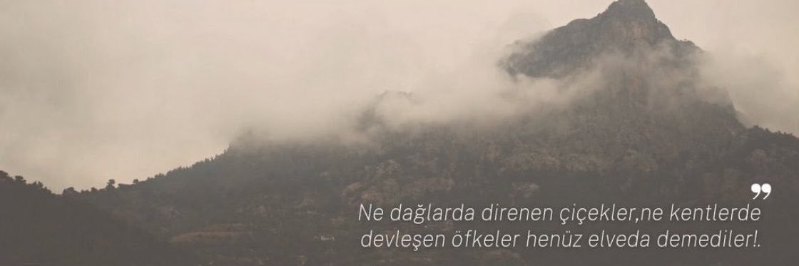 A Y Ş E G Ü L's banner
