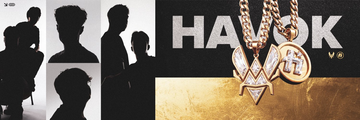 HavoK by Vitality's banner