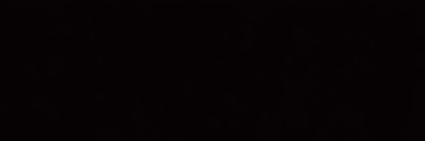 yar's banner
