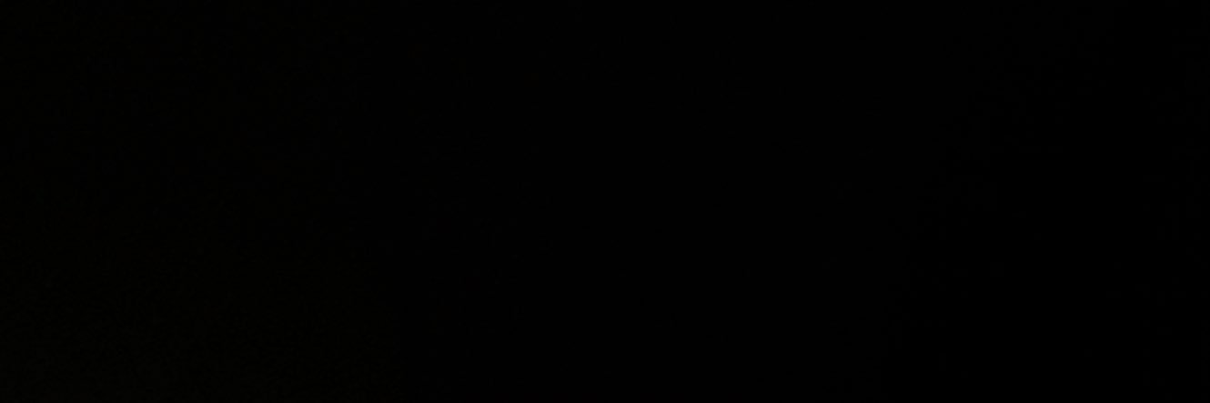 pursuemymeteor's banner