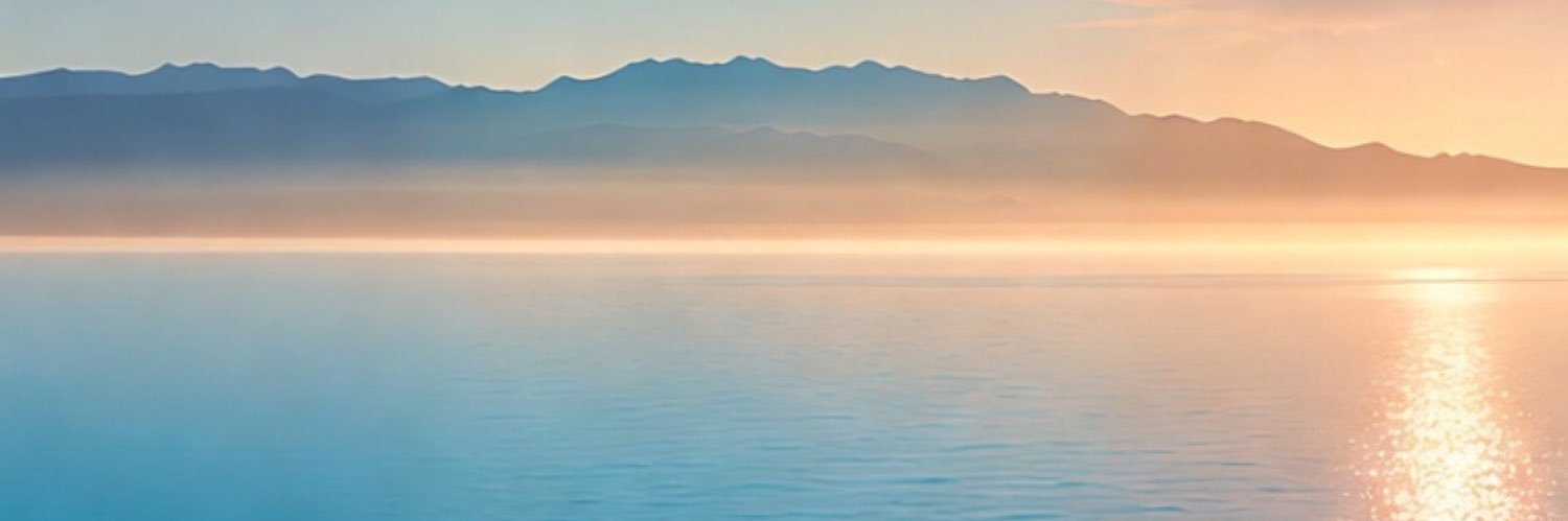 Sofy ✨'s banner
