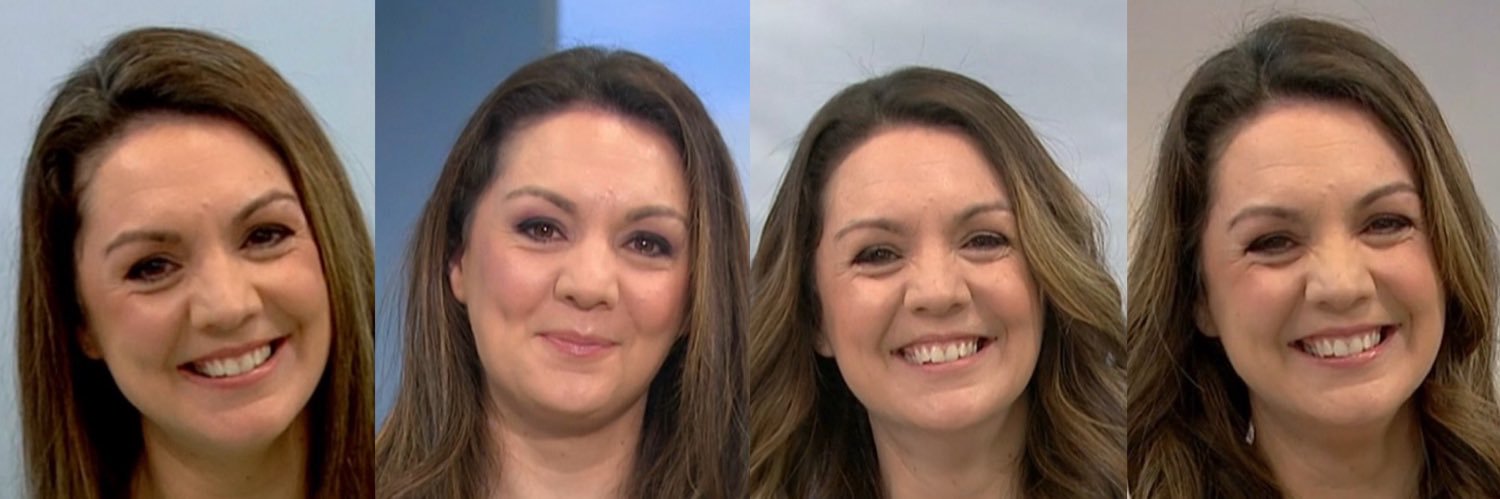 Laura Tobin Fan's banner