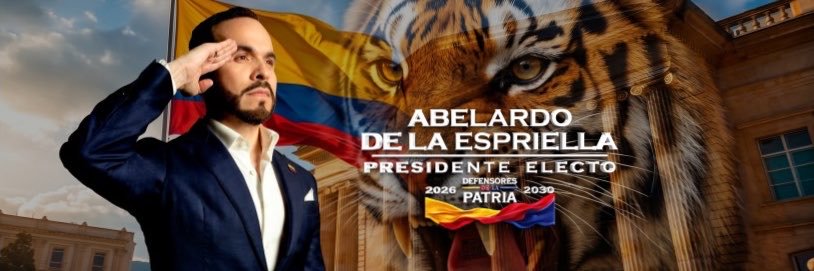 Defensores de la Patria's banner