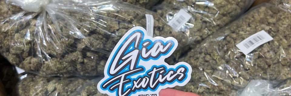 G.I.A. EXOTICS's banner
