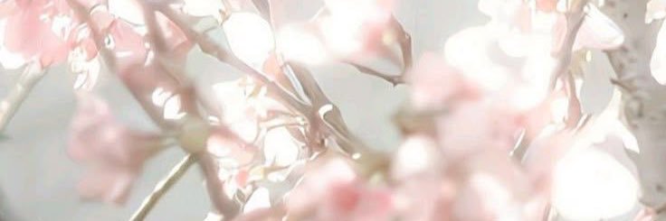 Bella🌸's banner