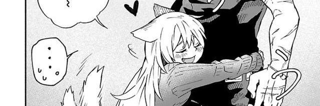 neneko.c 妮妮子's banner