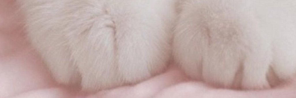 ⋆˚࿔ lily 𝜗𝜚˚⋆🧸ྀི's banner