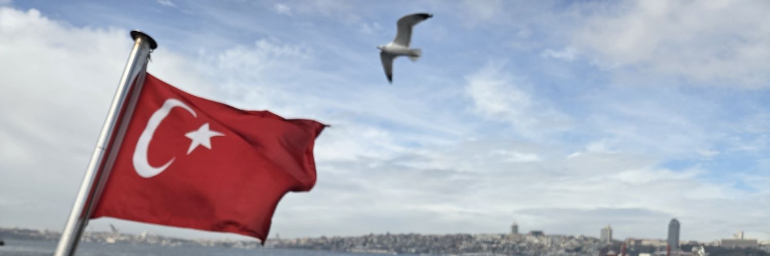 turkishteacher🇹🇷🇵🇱🇵🇸's banner