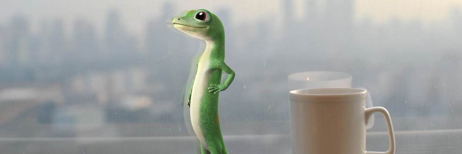 Talking Lizard 🦎's banner