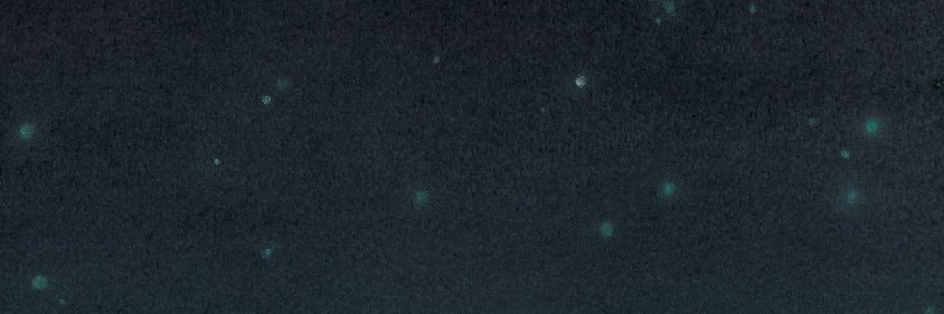 kirin (スタッフの目線)'s banner