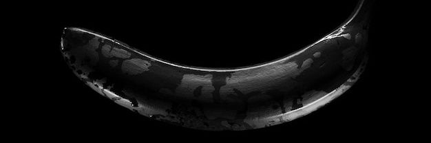 BIG BANANA 🍌🍌's banner
