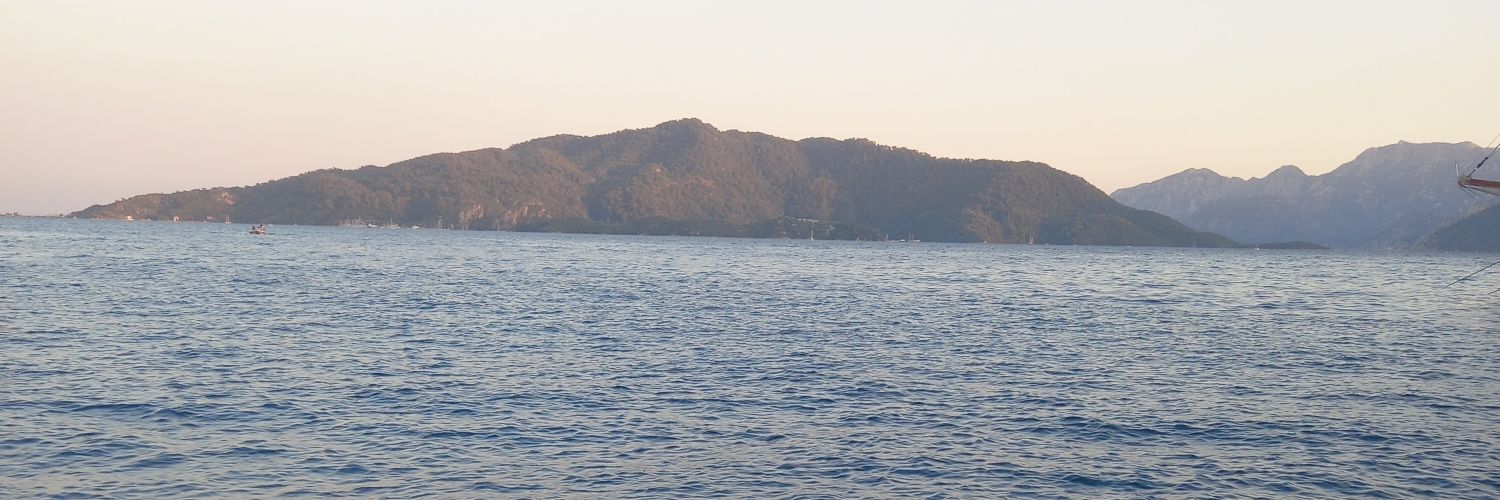 Doğuş burcu's banner