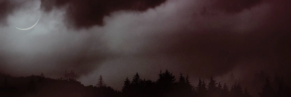 elly ₊✩‧₊'s banner