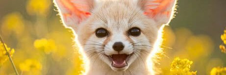 佐伯なぎさ's banner