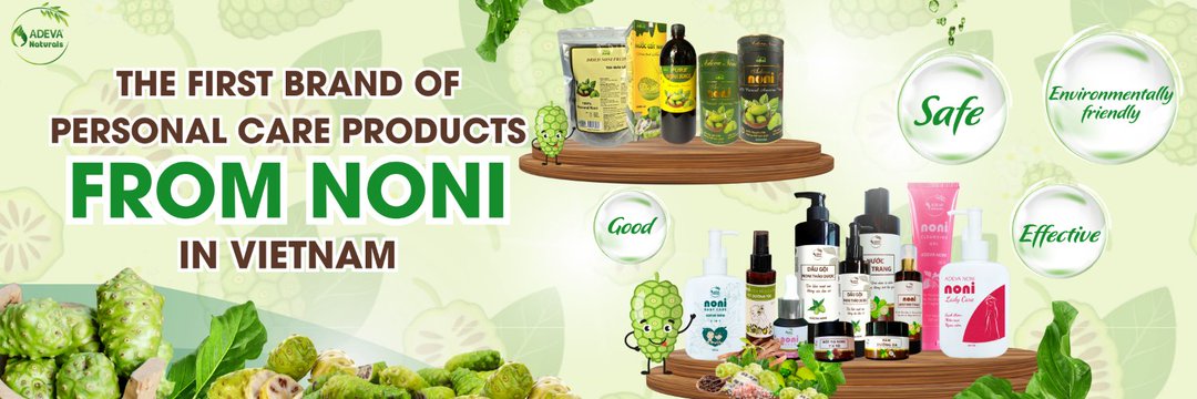 Lê Thị Ái Vân | Ivy's banner
