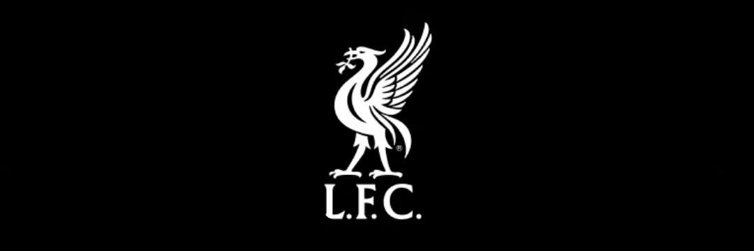 Faizaaaaaan's banner