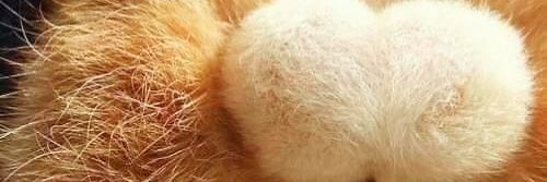 ยี่หวา 😺🌟's banner