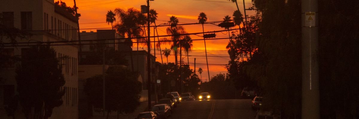 joey ☁️🌿🍃's banner