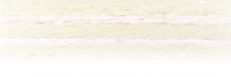 Stella🐰's banner