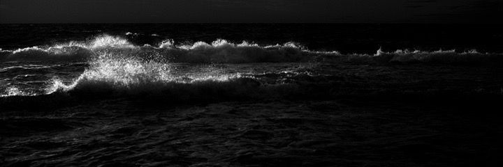 iel🦑's banner