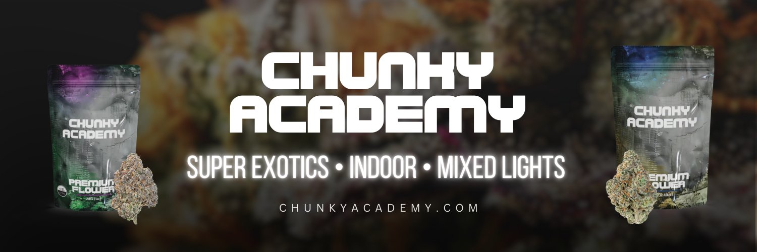 Chunky Academy's banner