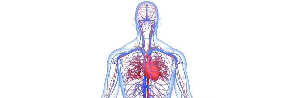 CardiovascularCorner's banner