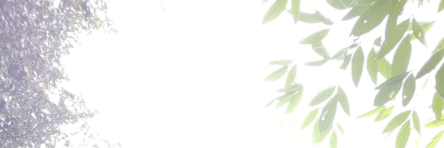 Harry's banner