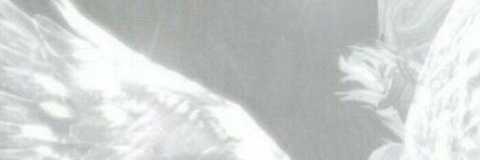 Donna's banner