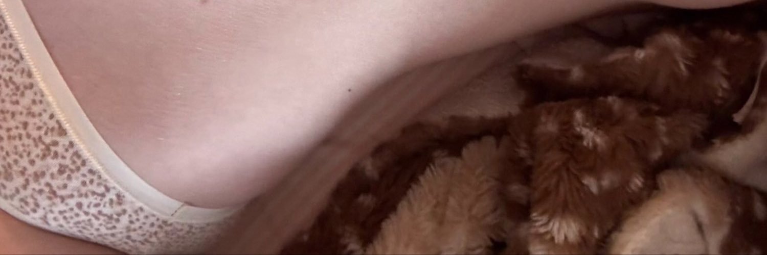cat's banner