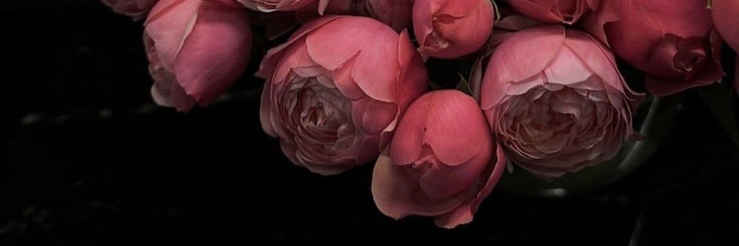 ✡︎ྀི's banner